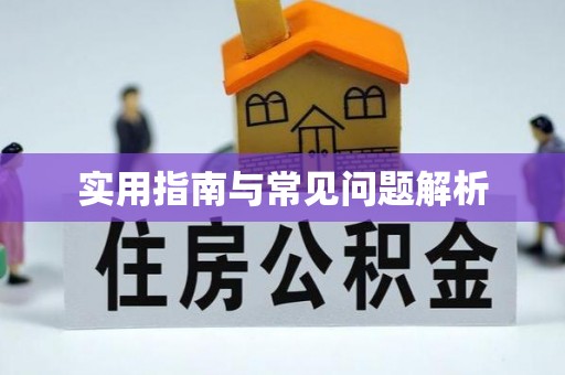 札达实用指南与常见问题解析