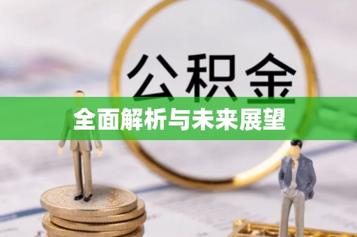 札达全面解析与未来展望